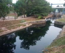 Sungai Cilamaya Menghitam dan Berbau, Muslim Hafidz: Gubernur Jabar Tidak Serius - JPNN.com