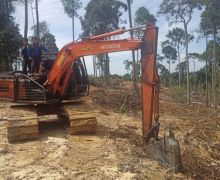 Hutan di Kampar Ini Dirambah untuk Kebun Sawit, Cukongnya Siap-Siap Saja - JPNN.com