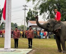 Luar Biasa! Gajah Jadi Pengibar Bendera Merah Putih di Riau, Lihat - JPNN.com