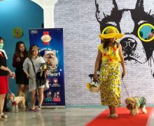 Pawppy Dog Matters Ajak Pencinta Anabul Lomba Fashion Show - JPNN.com