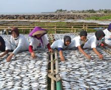Nelayan Dukung Ganjar Gelar Praktik Pengolahan Ikan Bersama Warga Pandeglang - JPNN.com