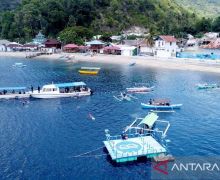 Wisata Hiu Paus Gorontalo Meraih Peringkat Ketiga ADWI 2023 - JPNN.com