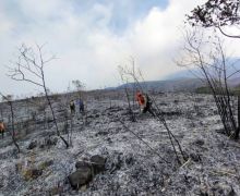 Ada Kebakaran Hutan, Pendakian Gunung Arjuno Ditutup - JPNN.com