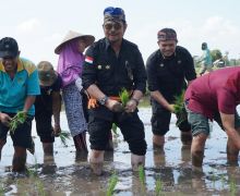 Hadapi El Nino, Mentan SYL Dorong NTB jadi Daerah Penyangga Pangan Indonesia Timur - JPNN.com