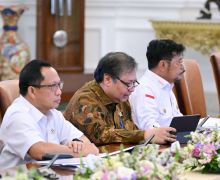 Kabar Baik dari Mentan Syahrul Soal Ketersediaan Beras Nasional, Alhamdulillah - JPNN.com