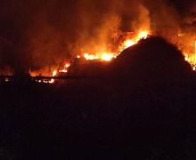 Lereng Gunung Jayanti Sukabumi Terbakar, Begini Kondisinya - JPNN.com