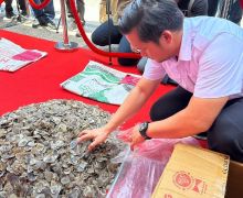 Tenggiling Dibunuh di Padang Sidempuan, 41 Kg Sisiknya Dijual ke Pekanbaru - JPNN.com