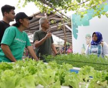 Ganjar Diajak Petani di Kembangan Jakarta Panen Anggur dan Tanam Cabai - JPNN.com
