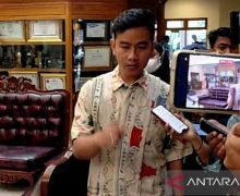 Sikap Gibran Tegas Soal Konflik Keraton Surakarta, Begini - JPNN.com