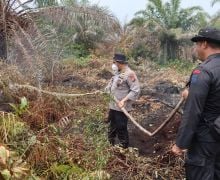 Daftar Delapan Daerah di Riau yang Berstatus Siaga Darurat Karhutla - JPNN.com