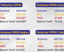 Jumlah Pendaftar CPNS 2023 & PPPK, yang TMS Banyak Banget, Ya Ampun - JPNN.com