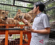 Ada Diskon Khusus Hari Pahlawan di Taman Safari Bogor - JPNN.com