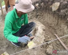 Petani Temukan Fosil Gading Gajah Purba di Kudus - JPNN.com