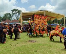 Memajukan Budaya Daerah lewat Festival Lahar Polo Pendem di Desa Kandangan Lumajang - JPNN.com
