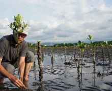 BMI Dongkrak Ekonomi Masyarakat Pesisir Melalui Budi Daya Ikan Berkelanjutan - JPNN.com