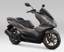 Menjelang Tutup Tahun, AHM Merilis Honda PCX160 dengan Warna Baru - JPNN.com