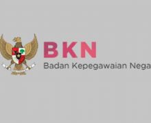 3 Pejabat di 214 Daerah Dilarang Mengangkat ASN Baru, Simak Penjelasan BKN  - JPNN.com