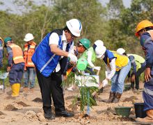 Hari Pohon Sedunia, Grup MIND ID Telah Menanam Jutaan Pohon untuk Reforestasi - JPNN.com