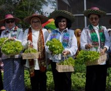 Dorong Ketahanan Pangan, Bidang V Oase KIM Panen Sayur Organik & Bimtek Urban Farming - JPNN.com