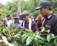 Ditjen Kebudayaan Kemendikbudristek Gelar Festival Kopi Gayo, Beri Edukasi dan Promosi Budaya - JPNN.com