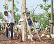 JIEP Sumbang Ratusan Pohon Demi HIjaukan Jakarta - JPNN.com