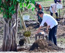 Presiden Jokowi Menanam Pohon Bersama Masyarakat Embung Anak Munting NTT - JPNN.com