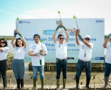 BRI Gagas Program Penanaman Pohon Mangrove lewat BritAma Tanam Kebaikan - JPNN.com