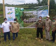 PalmCo-BBKSDA Riau Bersinergi Perkuat Konservasi Gajah Sumatera - JPNN.com