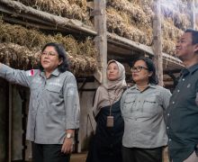 Kementan Sebut Keberhasilan Swakelola Produksi Benih Bawang Putih jadi Insiprasi - JPNN.com
