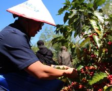 Kementerian BUMN Resmikan Tim Pengembangan Bisnis Komoditas Kopi & Kakao - JPNN.com