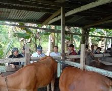Wamentan Harvick Dorong Kabupaten Sorong Menjadi Lumbung Ternak di Papua Barat Daya - JPNN.com