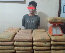 Tangkap Seorang Kurir, Polres Padangsidimpuan Amankan 35 Kg Ganja - JPNN.com