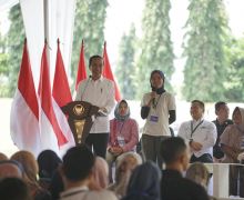 Jokowi Apresiasi Sinergi PNM & Holding UMi untuk Ekosistem Keluarga Prasejahtera - JPNN.com