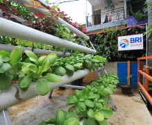 Kampung Palm Eco Green Village Malang Makin Asri Berkat Program BRInita - JPNN.com