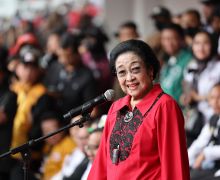 Wahai Noel, Ini Bukan soal Jokowi, Bagi Megawati Anak Ranting Sangat Penting - JPNN.com