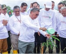 Wamen LHK: Penanaman Pohon dan Pembangunan Kebun Raya Bambu di Magetan Wujud Keberlanjutan Lingkungan - JPNN.com