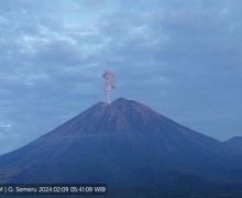 Gunung Semeru Kembali Erupsi Setinggi 900 Meter - JPNN.com