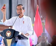 Dinilai Menarik, Produk Nasabah PNM Mekaar Ini dapat Sorotan dari Jokowi - JPNN.com
