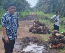 Konflik Lahan di Kampar Makan Korban, Kelompok Tani RSA Tagih Janji KLHK - JPNN.com