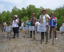 Dukung Upaya Mitigasi Perubahan Iklim, Pertamina Rehabilitasi Mangrove di Kupang NTT - JPNN.com