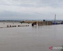 Banjir di Demak Makin Meluas, 44 Desa pada 8 Kecamatan Terdampak - JPNN.com