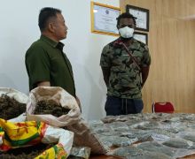 2 Warga Papua Nugini Ditangkap, Kasusnya Berat - JPNN.com