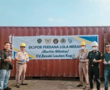 UMKM Tanjungpinang Ekspor 13 Ton Cangkang Keong Bahan Baku Kancing Baju ke Vietnam - JPNN.com