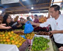 Kunjungi Pasar Buah Berastagi, Presiden Jokowi Belanja Jeruk, Mangga hingga Kentang - JPNN.com