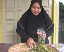 Kerupuk Ikan Daun Kelor Enak dan Bernutrisi Asli Palembang, Yuk, Cobain - JPNN.com