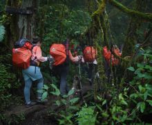 Cerita di Balik Gunung Terbersih di Indonesia, Kembang - JPNN.com