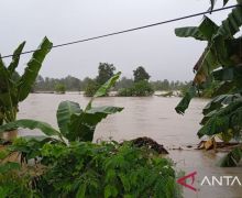 Banjir Disertai Longsor di Luwu Sulsel, 14 Warga Meninggal Dunia - JPNN.com