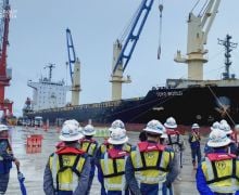 Pembangunan Pelabuhan Smelter Nikel MMP Selesai dalam 15 Bulan - JPNN.com