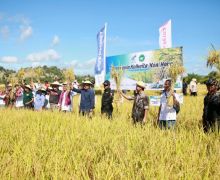 Petrokimia Gresik dan Pupuk Indonesia Berhasil Tingkatkan Produktivitas Padi di Timor Leste - JPNN.com