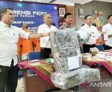 3 Pria di Sumbar Ditangkap Polisi terkait Kasus 23 Kg Ganja - JPNN.com